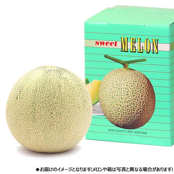 販売終了】山形県産 庄内砂丘メロン 1玉 (赤肉/秀品/1玉 約1.5kg