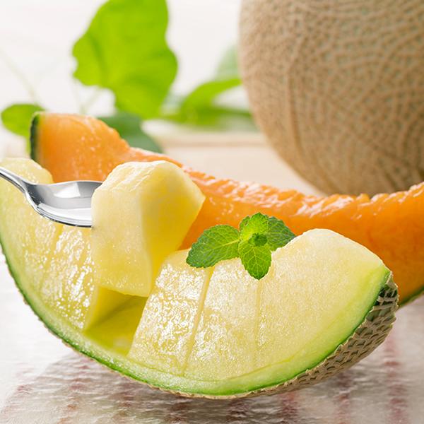 販売終了】山形県産 庄内砂丘メロン 赤肉・青肉セット (秀品/1玉