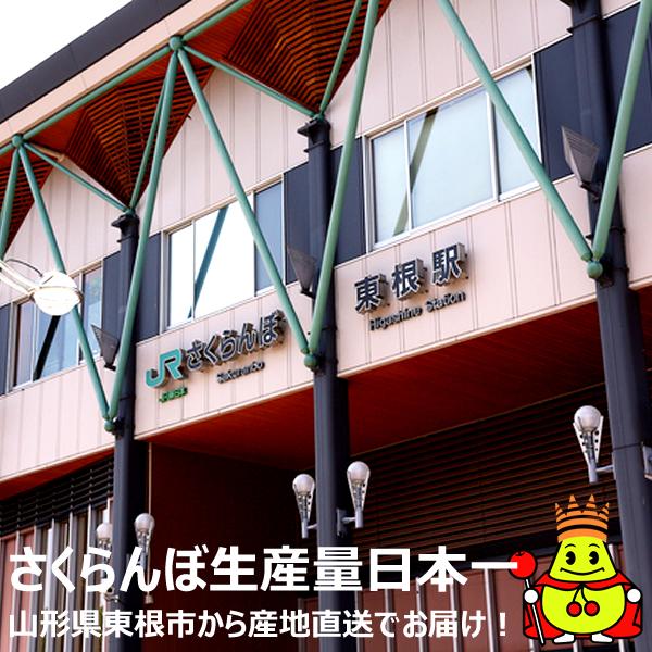 予約】山形県産 晩生 さくらんぼ (貯蔵品/秀品/2Lサイズ/1箱24粒 予約】山形県産 晩生 さくらんぼ (貯蔵品/秀品/2Lサイズ/1箱24粒