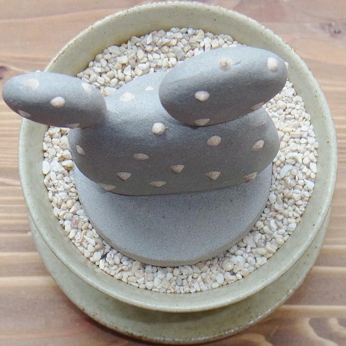 陶器のサボテン＋益子焼3号鉢＋受け皿セット 陶植 ウチワサボテン