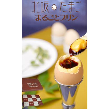 ☆たまこさま専用☆ たまごっち 【エントリーでポイント+4倍】(早期購買特典：『みゃ