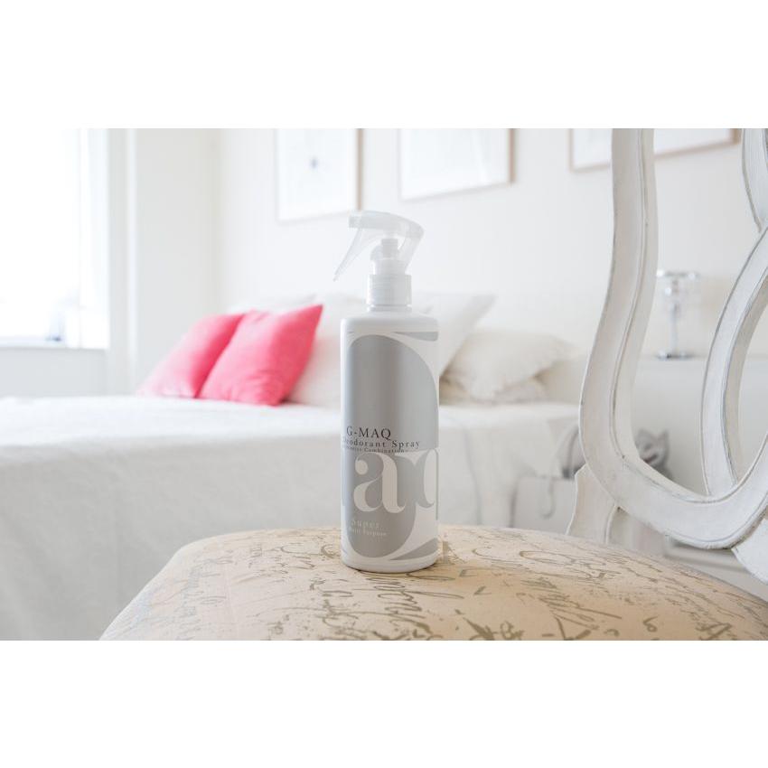 最強版 抗菌消臭スプレー G-MAQ ジーマック 抗菌消臭スプレー Super 400ml |  | 01