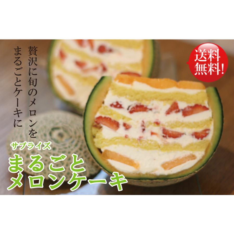 贈り物 ギフト 誕生日 サプライズまるごとメロンケーキ 今期の販売は終了いたしました たくさんのご注文ありがとうございました Cake0001 ガトーマリー焼き菓子 スイーツ店 通販 Yahoo ショッピング