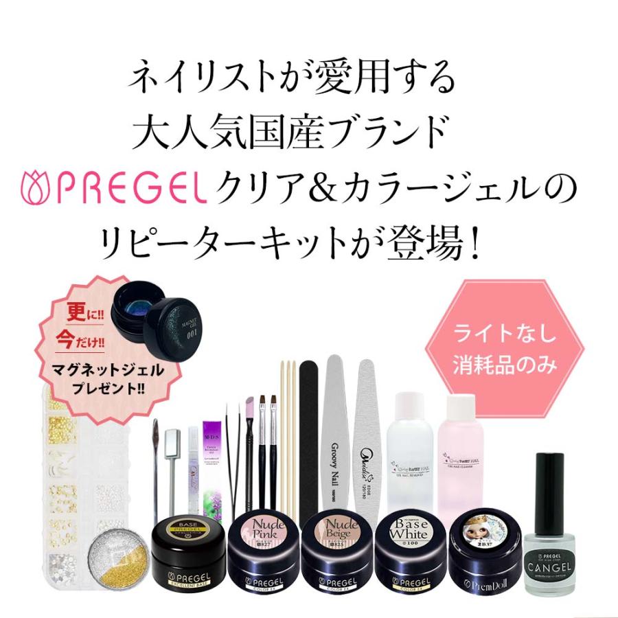 今だけマグネットジェル付き!!】【ライト無】プリジェル ジェルネイル  