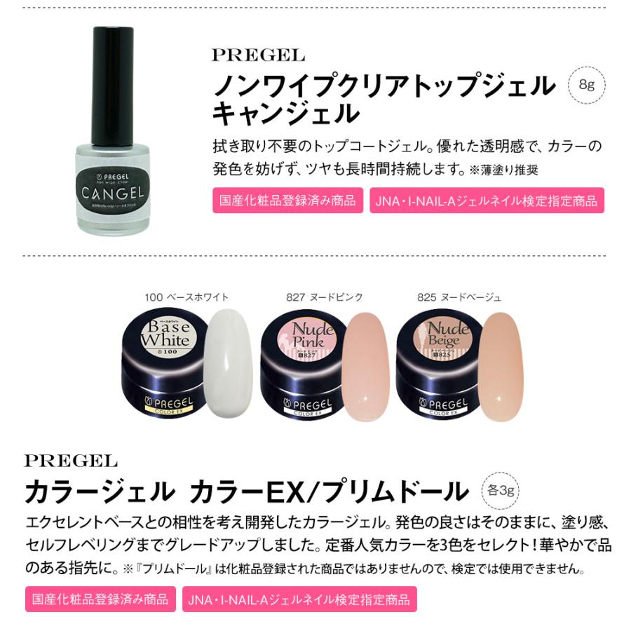 PREGEL プリジェル ジェルネイルスターターキット 国産カラージェル3色
