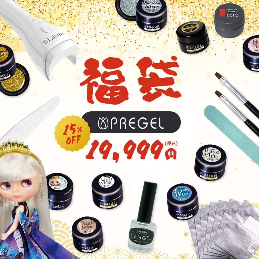 23,540円相当分】ネイル福袋 2026 PREGEL プリジェル 豪華 ジェル11点
