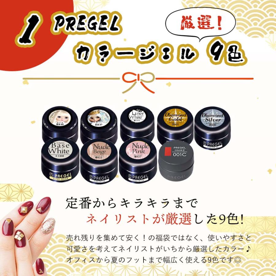 23,540円相当分】ネイル福袋 2026 PREGEL プリジェル 豪華 ジェル11点