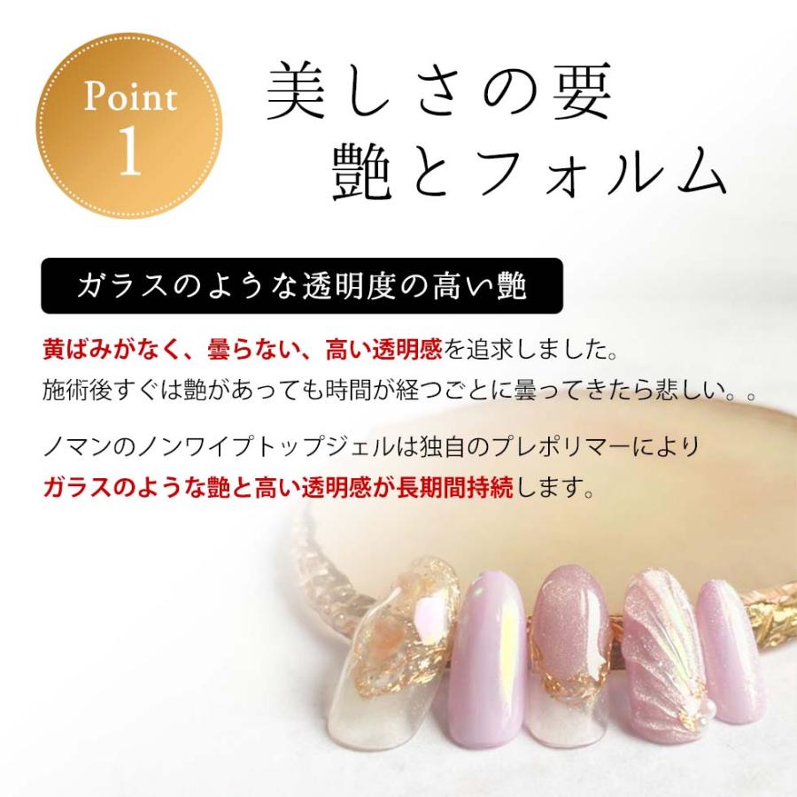 HEMAフリー ノンワイプトップジェル 10g ふき取り不要 アクリル酸