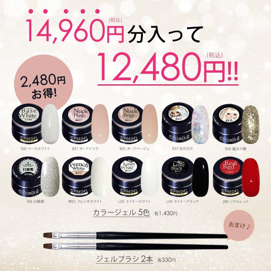 PREGEL プリジェル 人気カラージェル10色＋ブラシ2本セット ジェル
