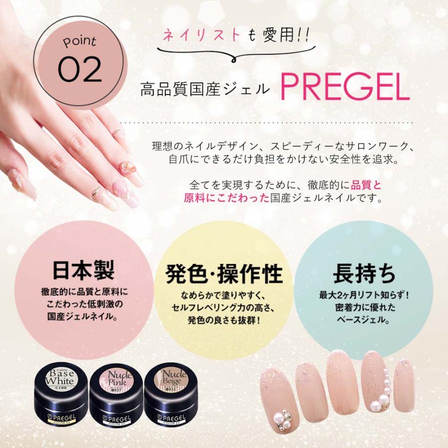 PREGEL プリジェル 人気カラージェル10色＋ブラシ2本セット ジェル