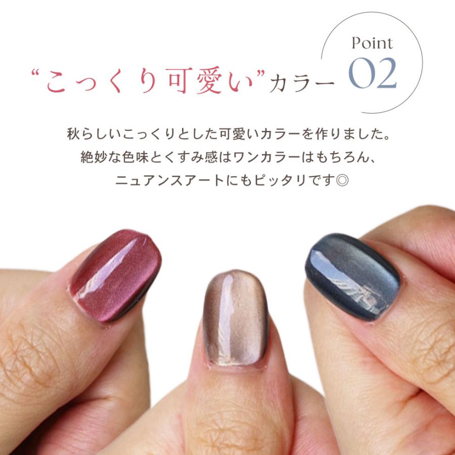 HEMAフリー マグネットジェル うるおいマグ 秋冬限定 5g 3色セット