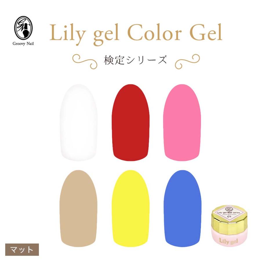 リリージェル Lily gel カラージェル 検定シリーズ 全6色 01~06 マット