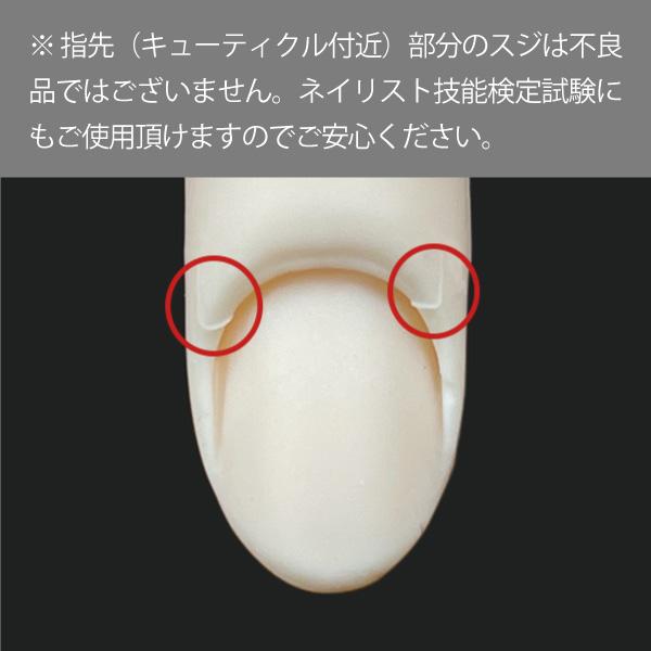 JNEC認定 STモデルハンド 右手 チップ差込式(ネイルチップ付き JNEC認定 STモデルハンド 右手 チップ差込式(ネイルチップ付き