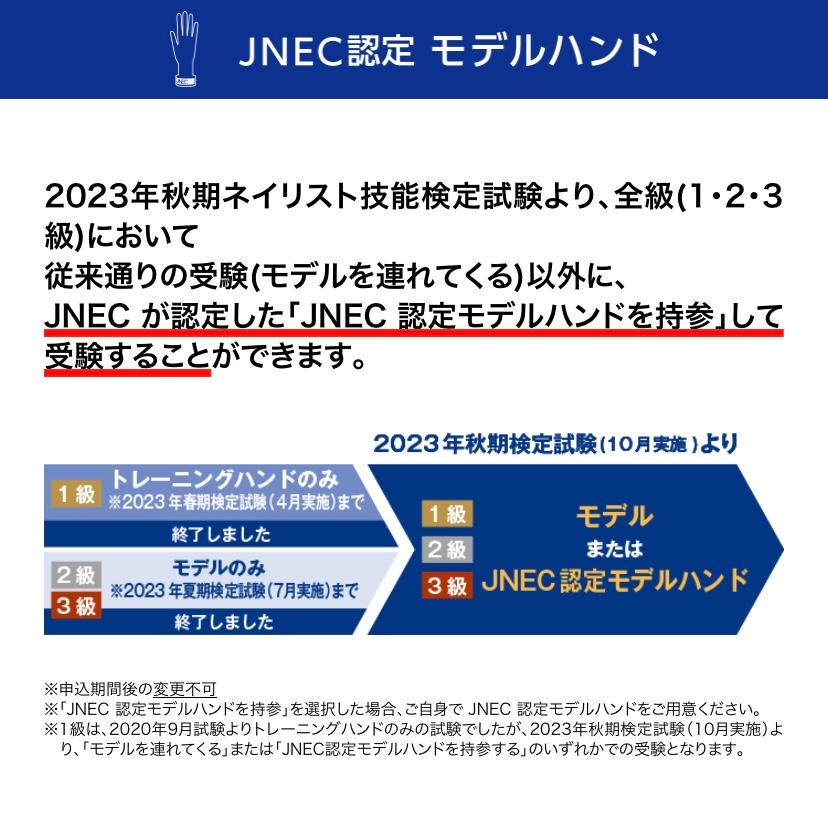 JNEC認定 STモデルハンド ネイルチップ 練習用/トレーニング用 JNEC認定 STモデルハンド ネイルチップ 練習用/トレーニング用