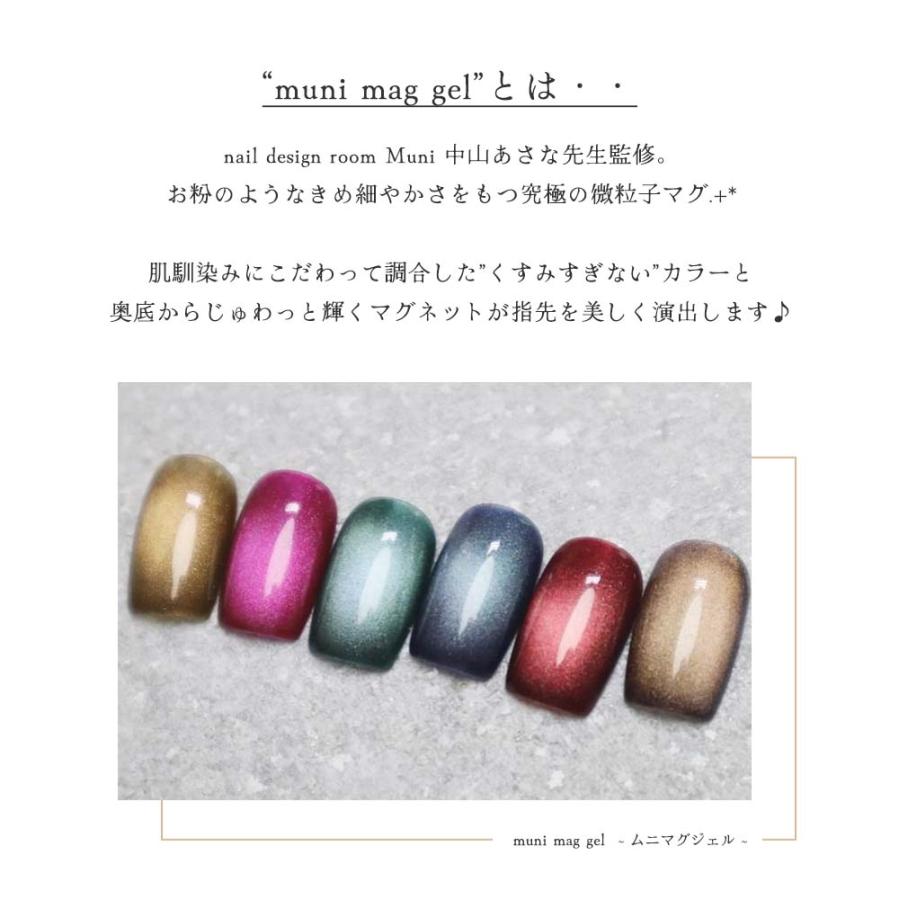 lem. レム ムニマグジェル 6色セット 7g mu-01~06 マグネットネイル