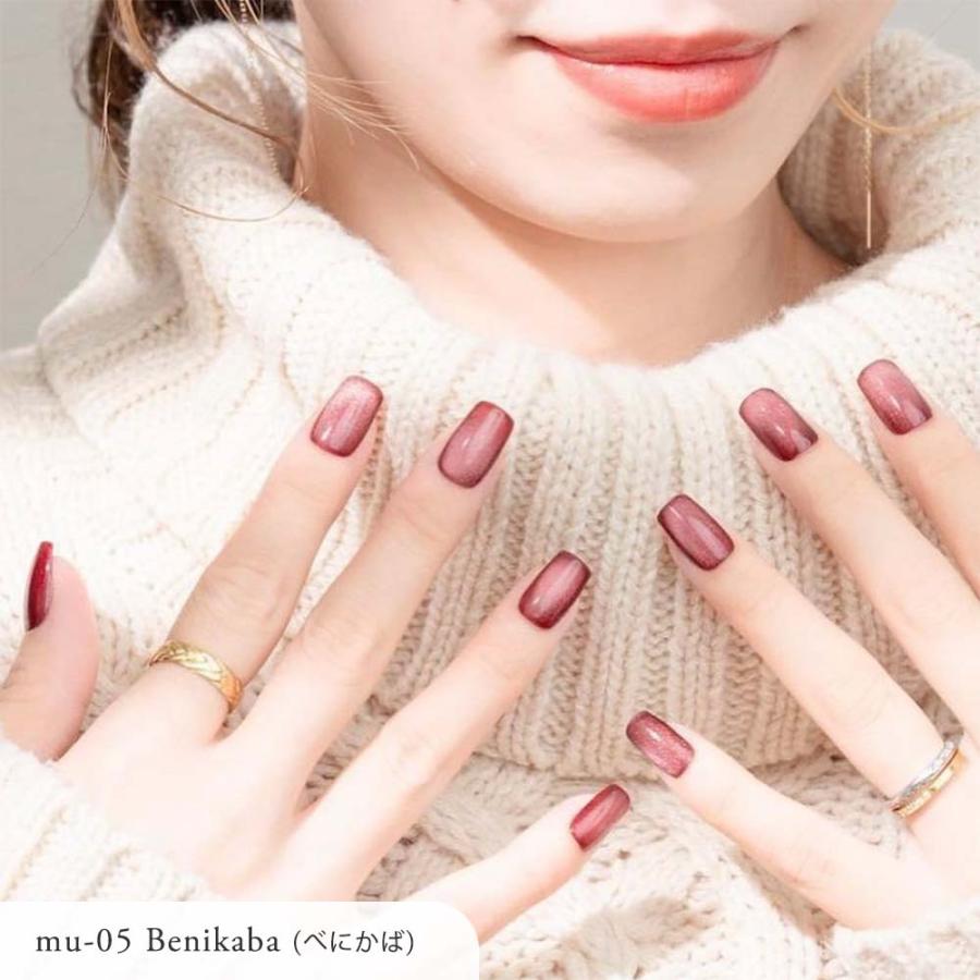 lem. レム ムニマグジェル 6色セット 7g mu-01~06 マグネットネイル