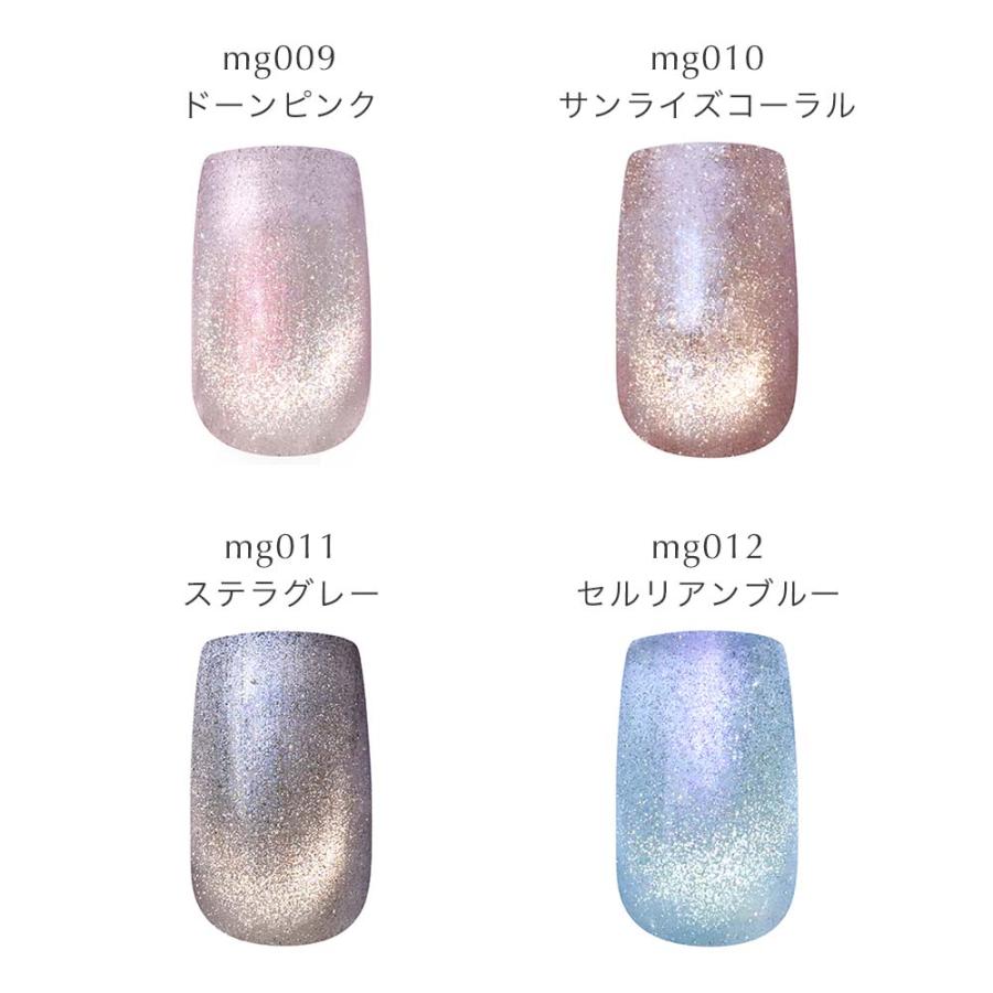 flicka nail arts フリッカスターリーマグジェル 8色セット 各5g