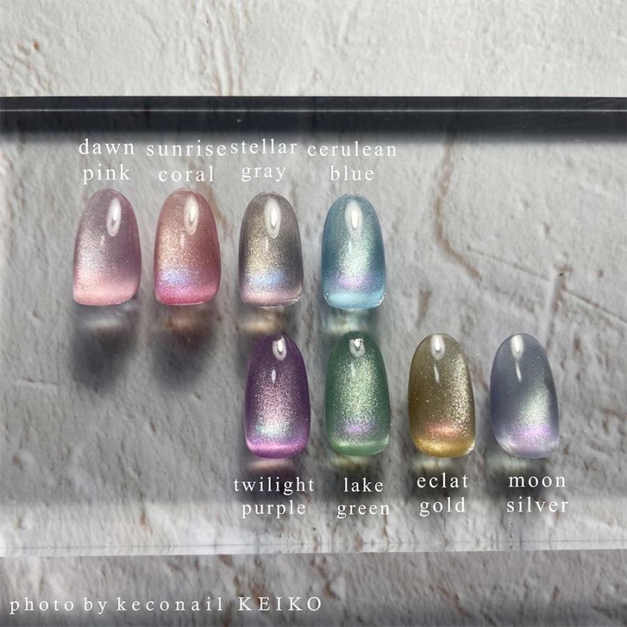 flicka nail arts フリッカスターリーマグジェル 8色セット 各5g