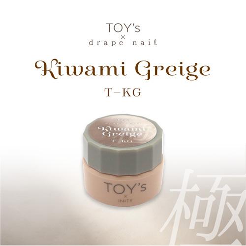 TOY's × INITY カラージェル 極みグレージュ 5g Rie先生プロデュース