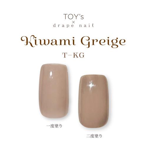 TOY's × INITY カラージェル 極みグレージュ 5g Rie先生プロデュース