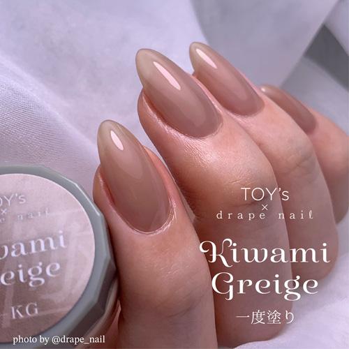 TOY's × INITY カラージェル 極みグレージュ 5g Rie先生プロデュース