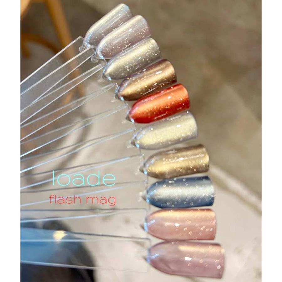 loade フラッシュジェル 10色セット ロアデ Loade フラッシュマグ 10色セット 4g FM001〜FM010 ジェル