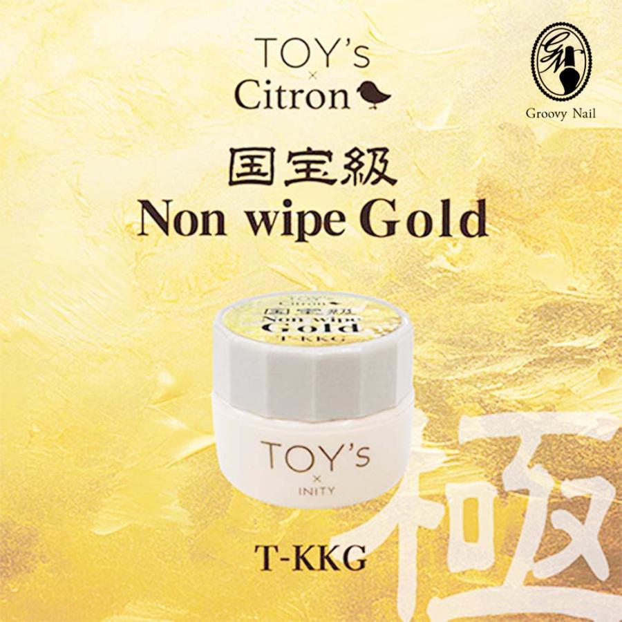 TOY's × INITY カラージェル 極み国宝級ノンワイプゴールド 5g ジェル