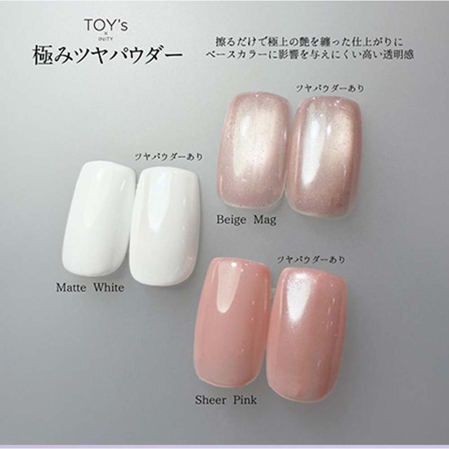 toys×inity 極み　フルコンプセット　11種類 TOY's × INITY 極みツヤパウダー 0.5g 艶 つやネイル ジェルネイル