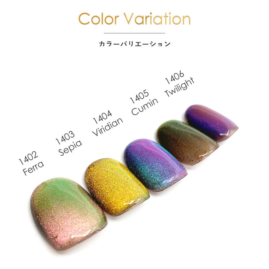 数量限定》アイスジェル ICEGEL ABLACK スターギャラクシー プリズム