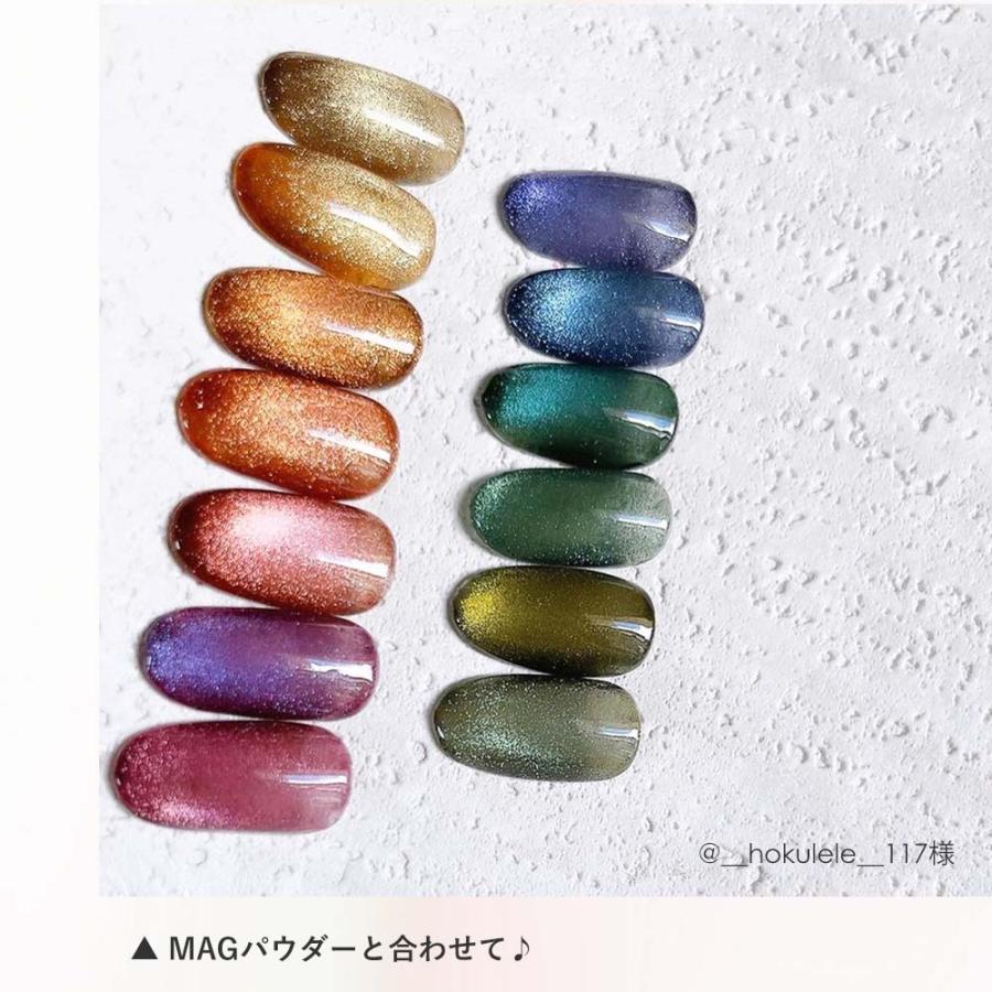 ageha アゲハ オプティカラー マスカレードコレクション 全7色 2.7g 艶