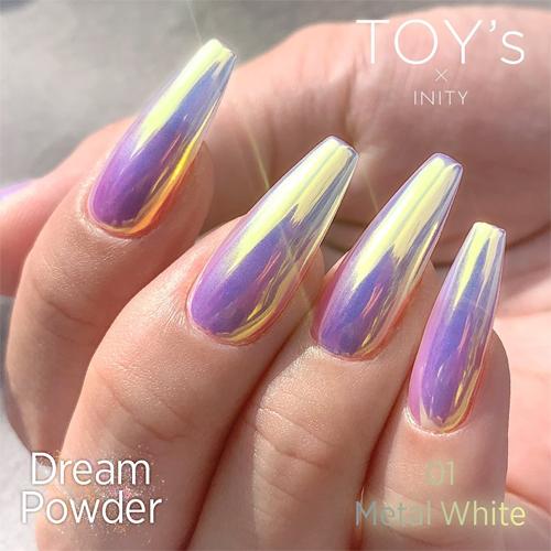 TOY's × INITY ドリームパウダー 0.5g 全6色 T-DR01~06 オーロラネイル