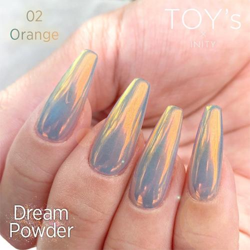 TOY's × INITY ドリームパウダー 0.5g 全6色 T-DR01~06 オーロラネイル