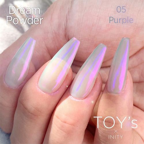 TOY's × INITY ドリームパウダー 0.5g 全6色 T-DR01~06 オーロラネイル