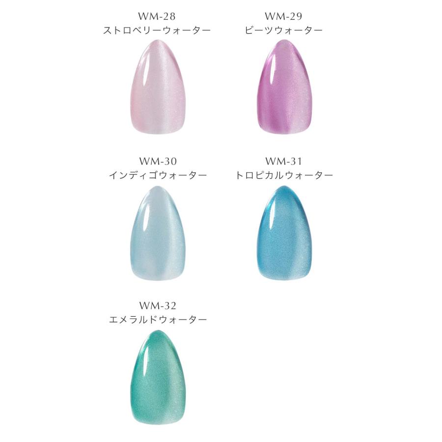 KOKOIST ココイスト ウォーターマグネット 10g 全9色 WM-24〜32 微粒子