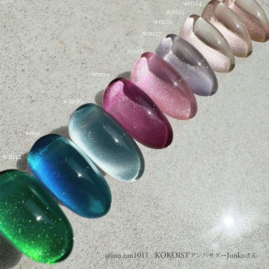 KOKOIST ココイスト ウォーターマグネット 10g 全9色 WM-24〜32 微粒子