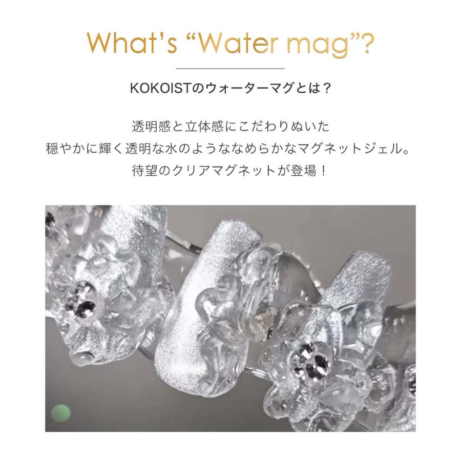 KOKOIST ココイスト ウォーターマグネット 10g 全2色 WM-33~34