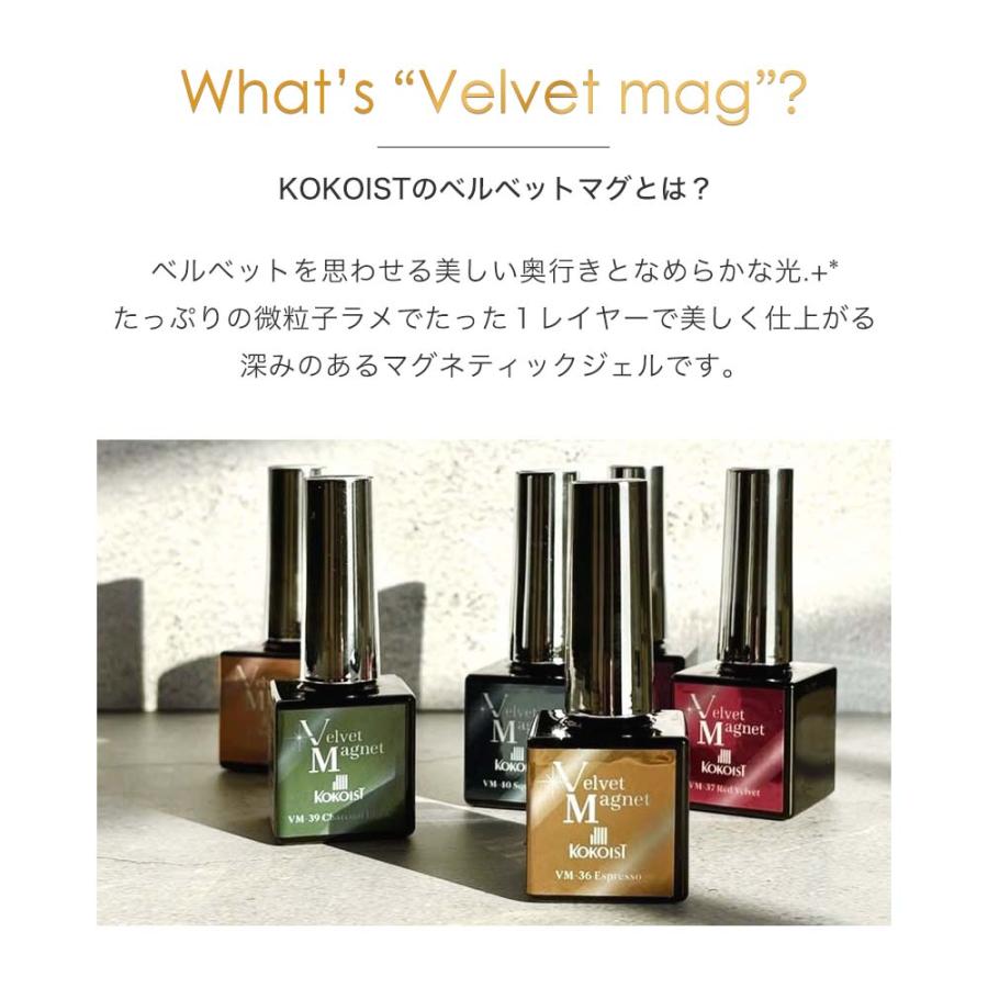 KOKOIST ココイスト ベルベットマグネット 10g 全6色 VM-35~40 微粒子