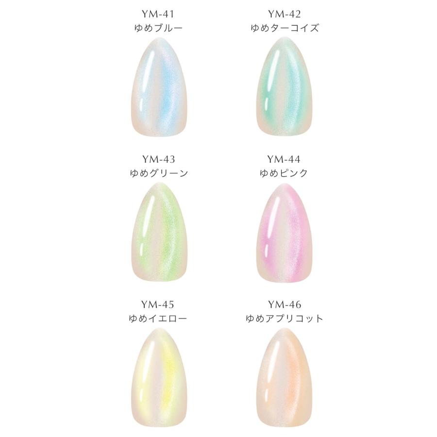 ココイスト KOKOIST ゆめマグネット 10g 全6色 YM-41~46 偏光カラー
