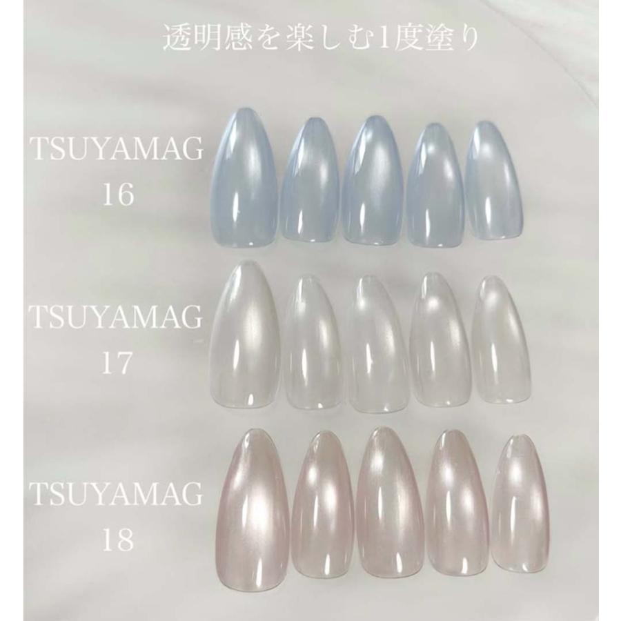ジェリスト GELIST つやマグ ペールブルー 7g 全3色 マグネットネイル
