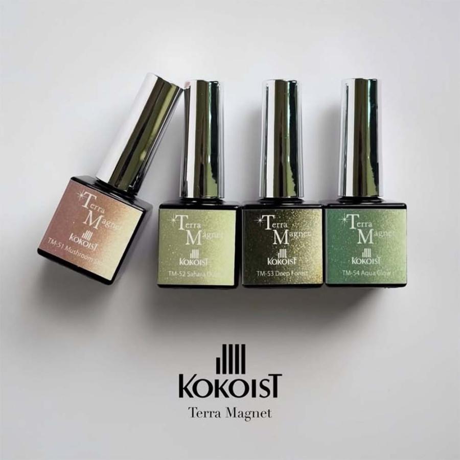 KOKOIST ココイスト マグネットジェル テラマグ 10g 全 12色 ジェル