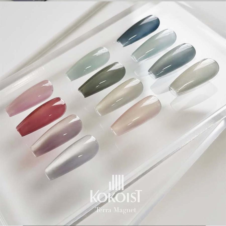 KOKOIST ココイスト マグネットジェル テラマグ 10g 全 12色 ジェル