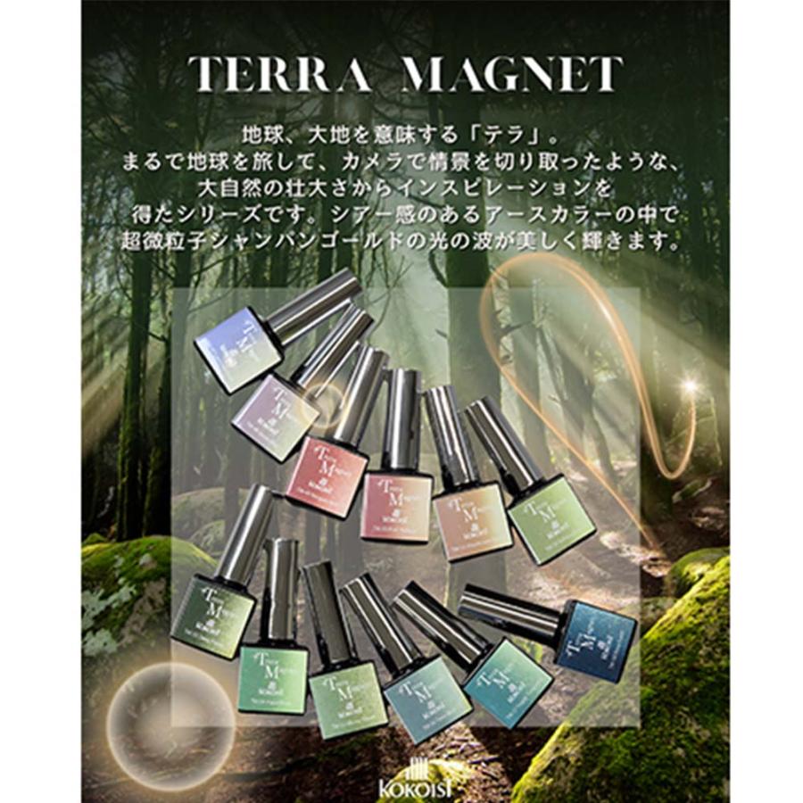 KOKOIST ココイスト マグネットジェル テラマグ 10g 全 12色 ジェル
