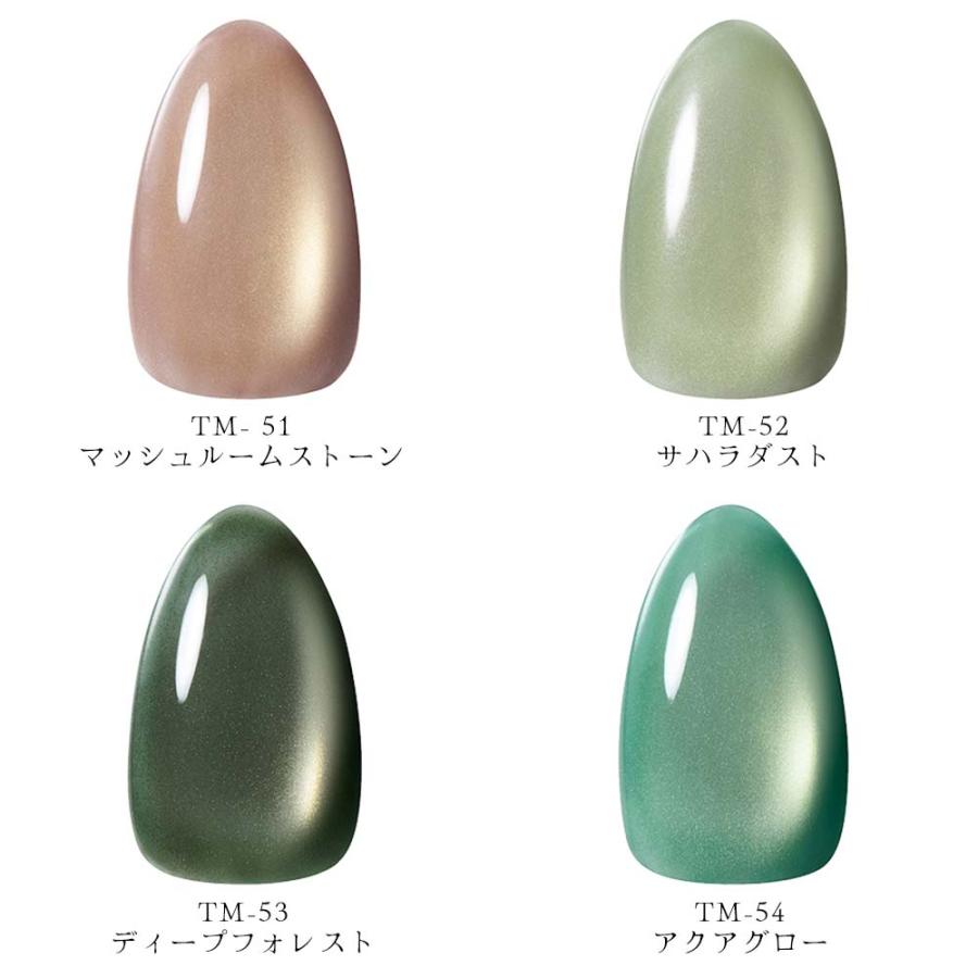 KOKOIST ココイスト マグネットジェル テラマグ 10g 全 12色 ジェル