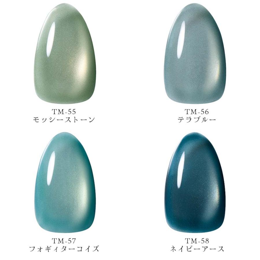 KOKOIST ココイスト マグネットジェル テラマグ 10g 全 12色 ジェル