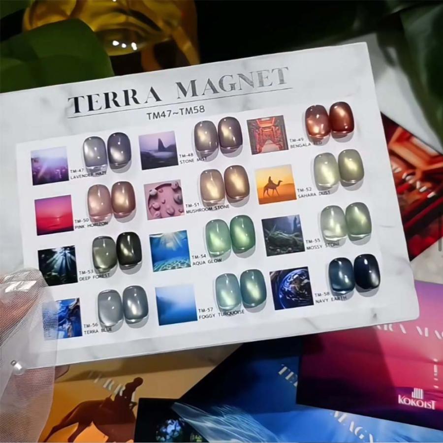 KOKOIST ココイスト マグネットジェル テラマグ 10g 全 12色 ジェル