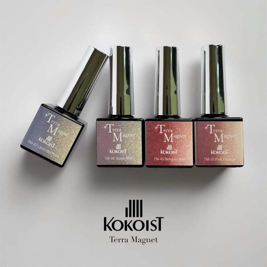 KOKOIST ココイスト マグネットジェル テラマグ 10g 全 12色 ジェル