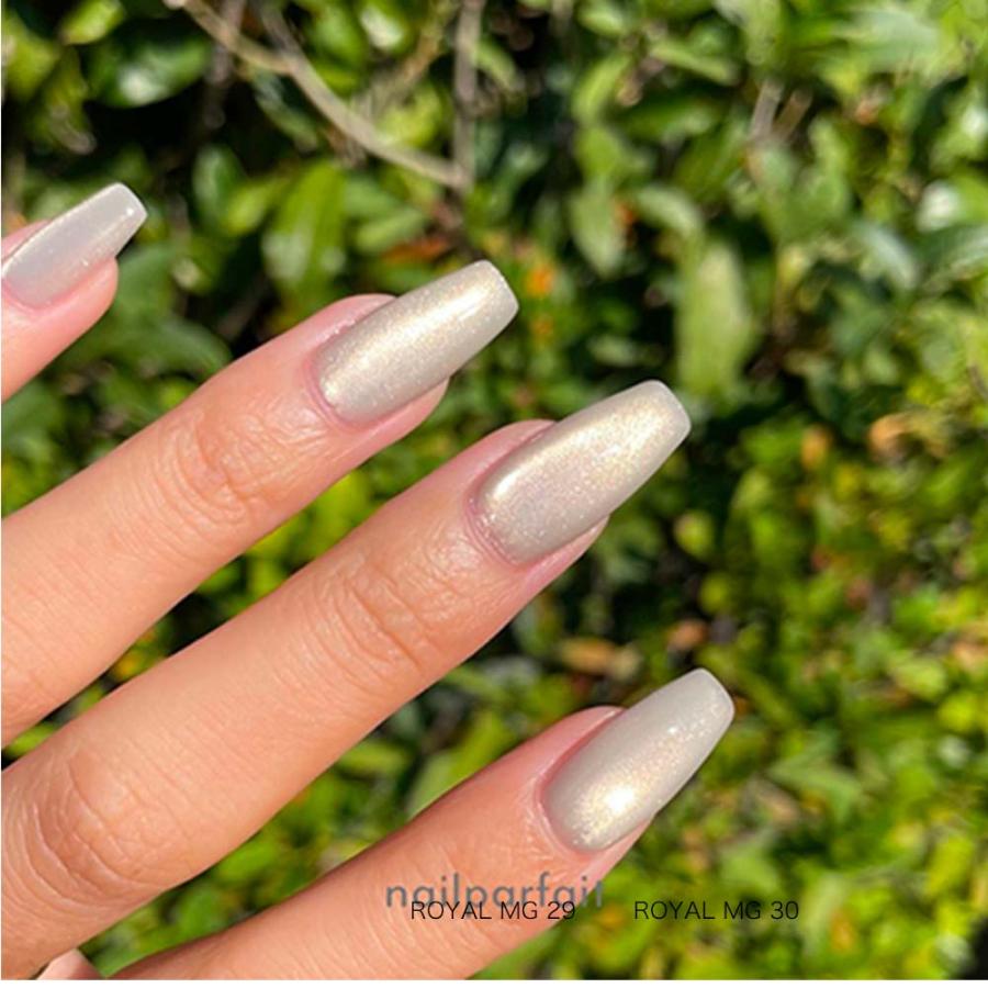ネイルパフェ ロイヤルマグ ROYAL MAG 26-30 2g 全5色 マグネット