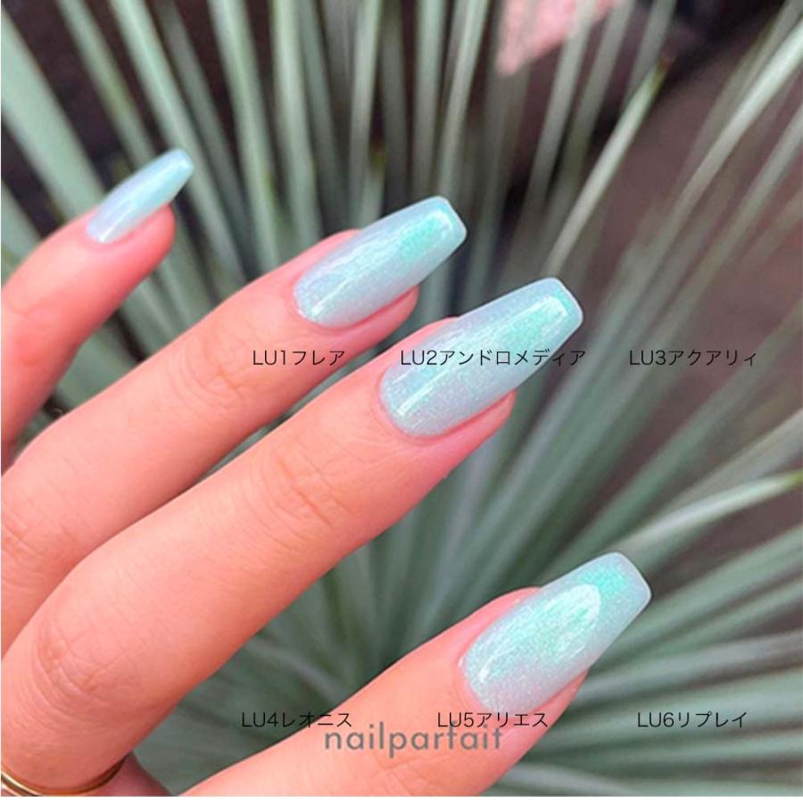 ネイルパフェ ZACCA by Nail Parfait yasue先生 2g 全6色 LU01~U06