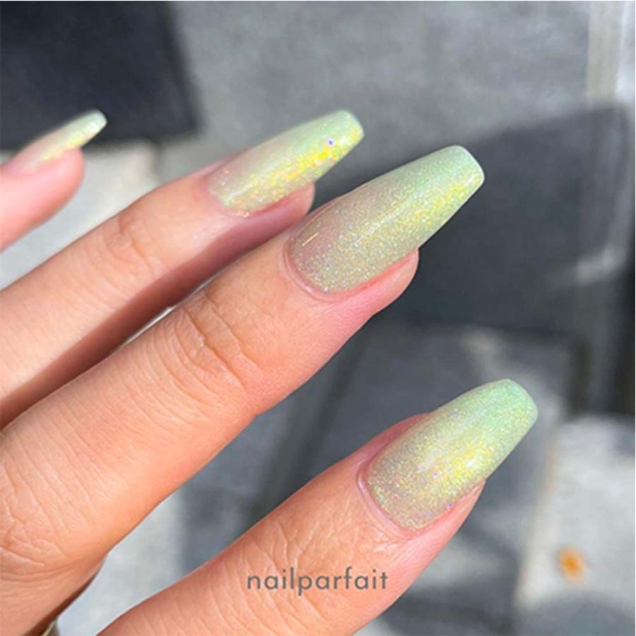 ネイルパフェ ZACCA by Nail Parfait yasue先生 2g 全6色 LU01~U06