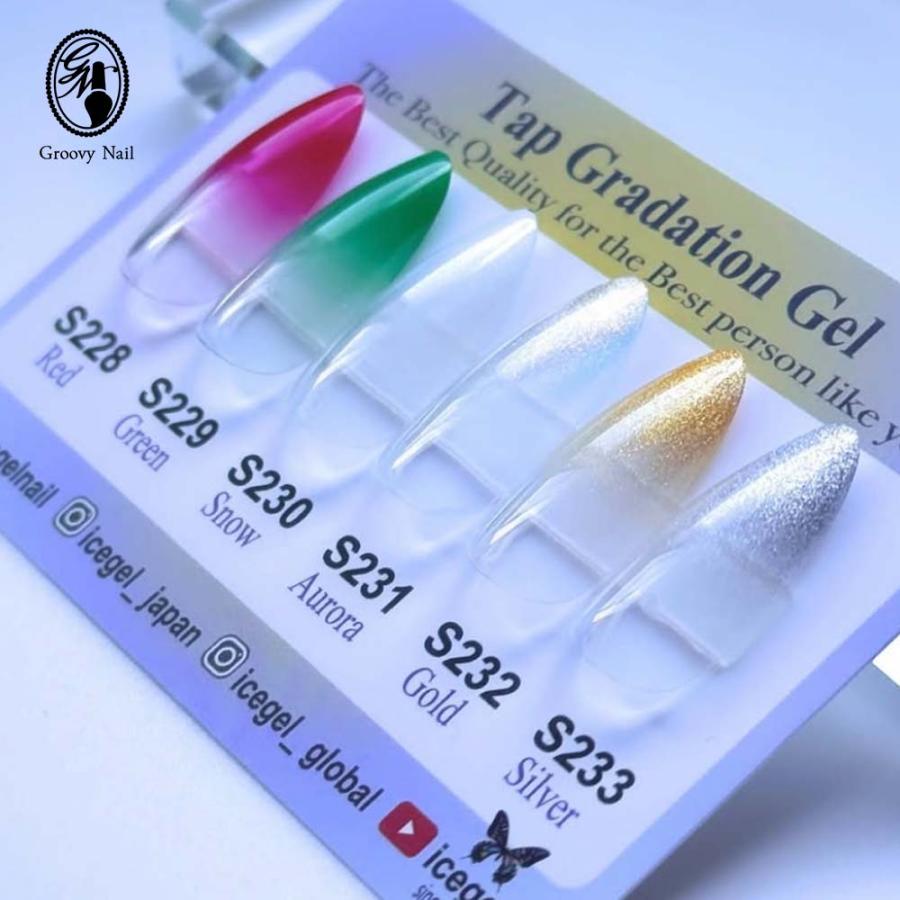 アイスジェル ICE GEL GENTLEON タップグラデーションジェル 2g 全6色